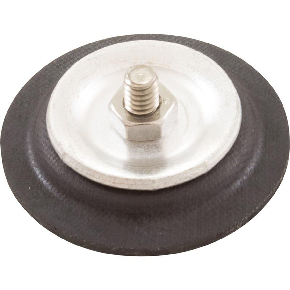 Diaphragm, Blue-White A-600 Chemical Pump, EP/PTFE