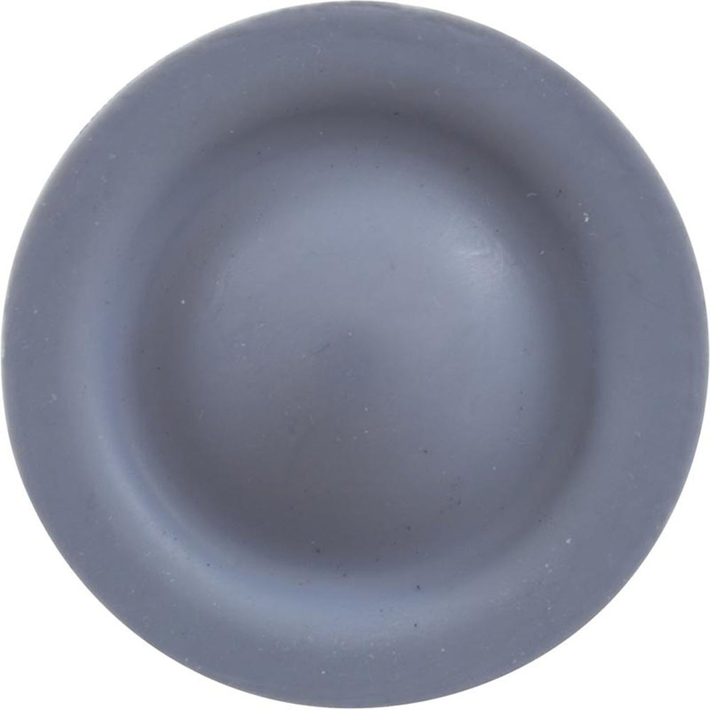 Diaphragm, Blue-White A-600 Chemical Pump, EP/PTFE