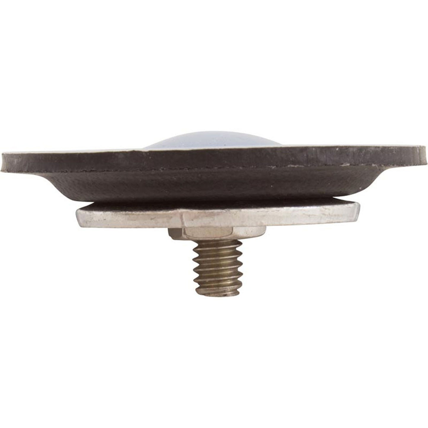 Diaphragm, Blue-White A-600 Chemical Pump, EP/PTFE