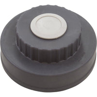 Lid Assembly, Waterco Chlorinator, w/O-Ring
