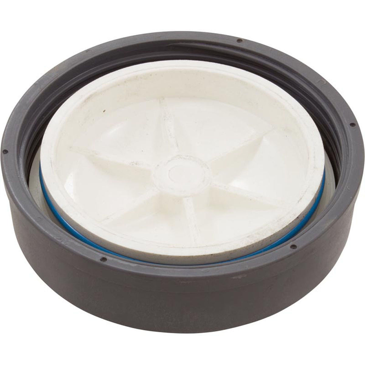 Lid Assembly, Waterco Chlorinator, w/O-Ring