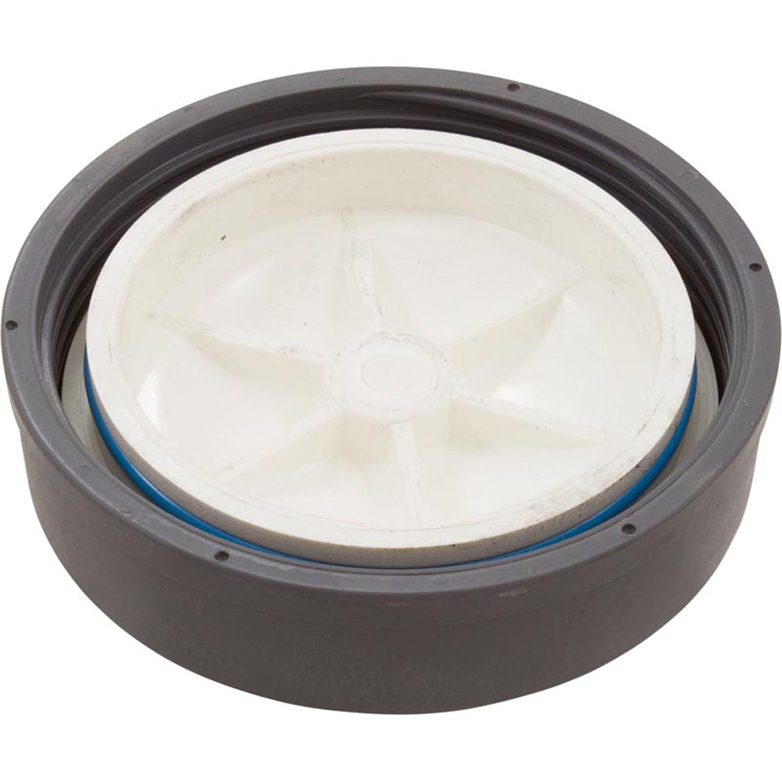Lid Assembly, Waterco Chlorinator, w/O-Ring