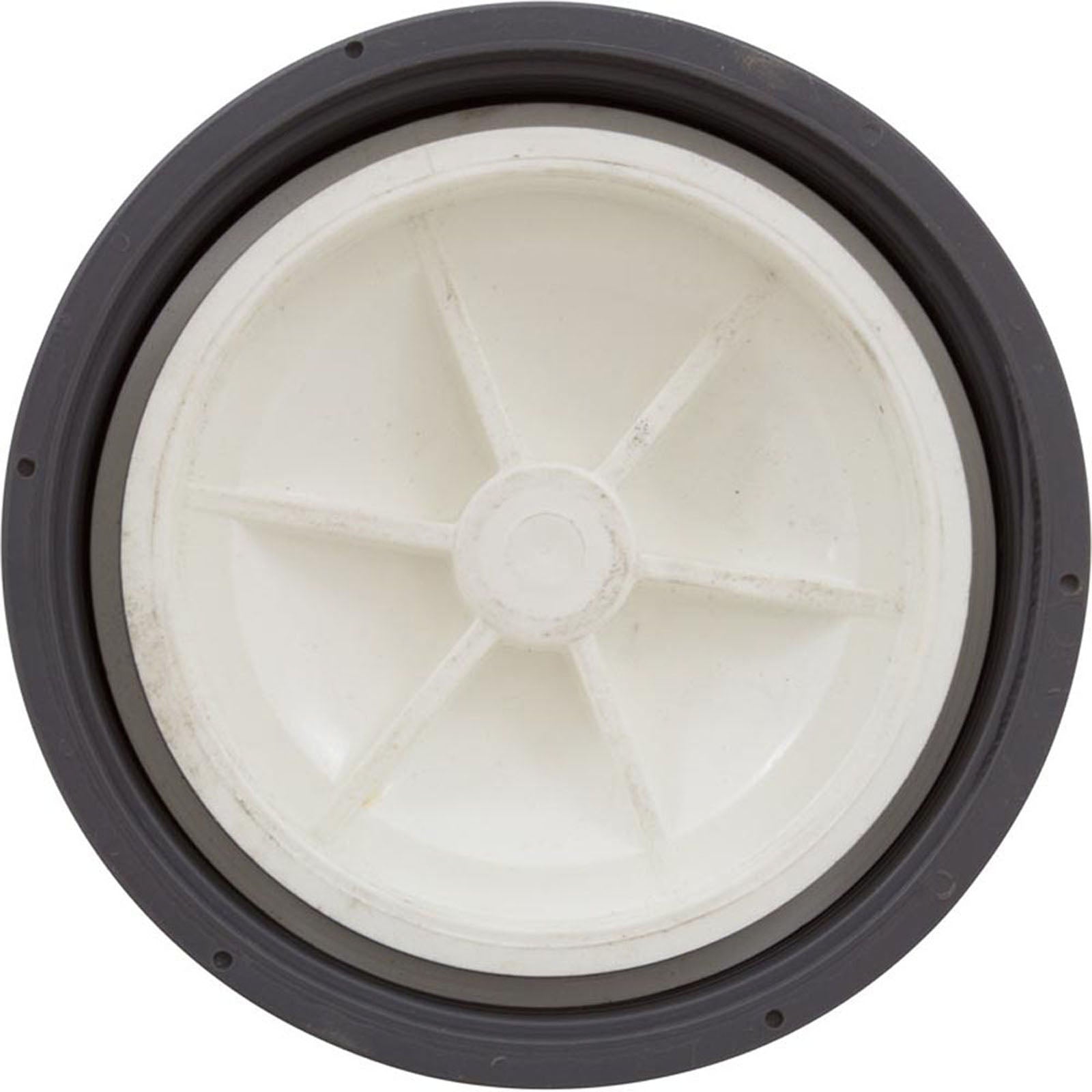Lid Assembly, Waterco Chlorinator, w/O-Ring