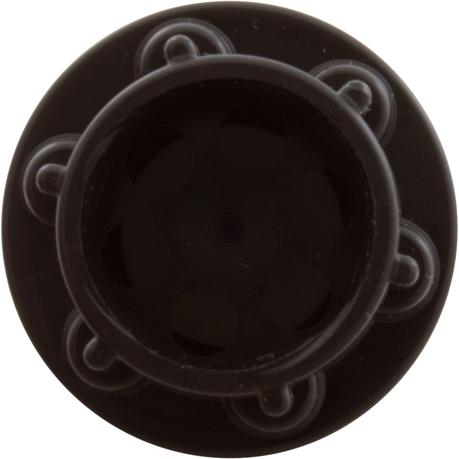 Check Valve, Aquastar ChemStar CH100
