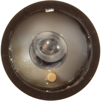 PH Probe, Solaxx, SafeDip replacement probe