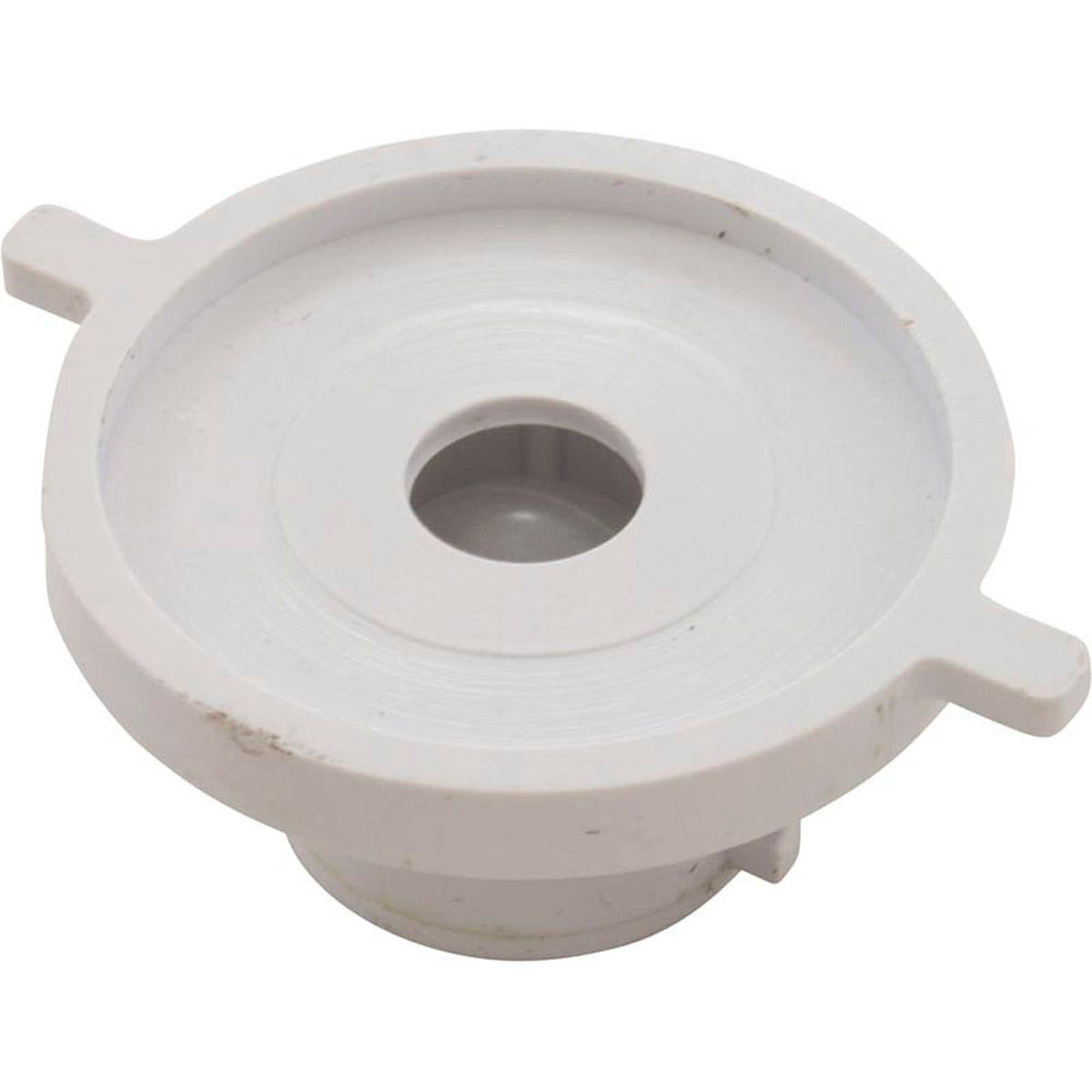 Check Valve Assembly, CMP PowerClean Mini Chlorinator