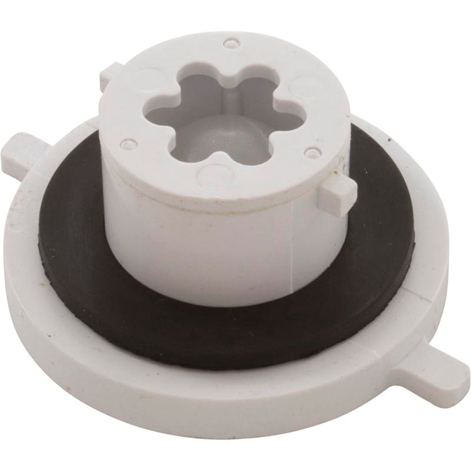 Check Valve Assembly, CMP PowerClean Mini Chlorinator
