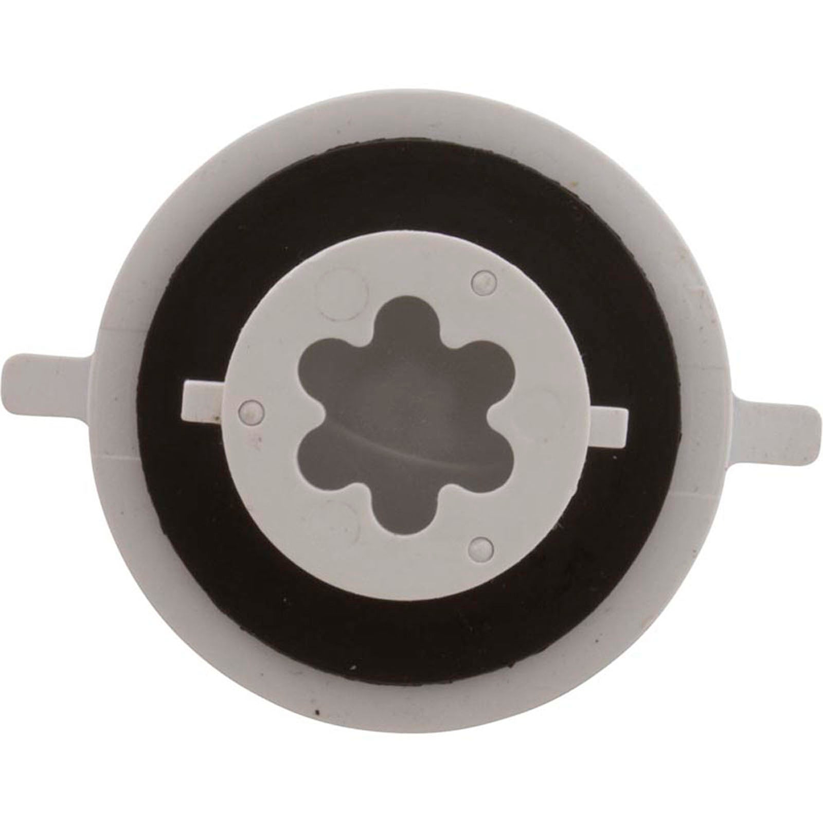 Check Valve Assembly, CMP PowerClean Mini Chlorinator