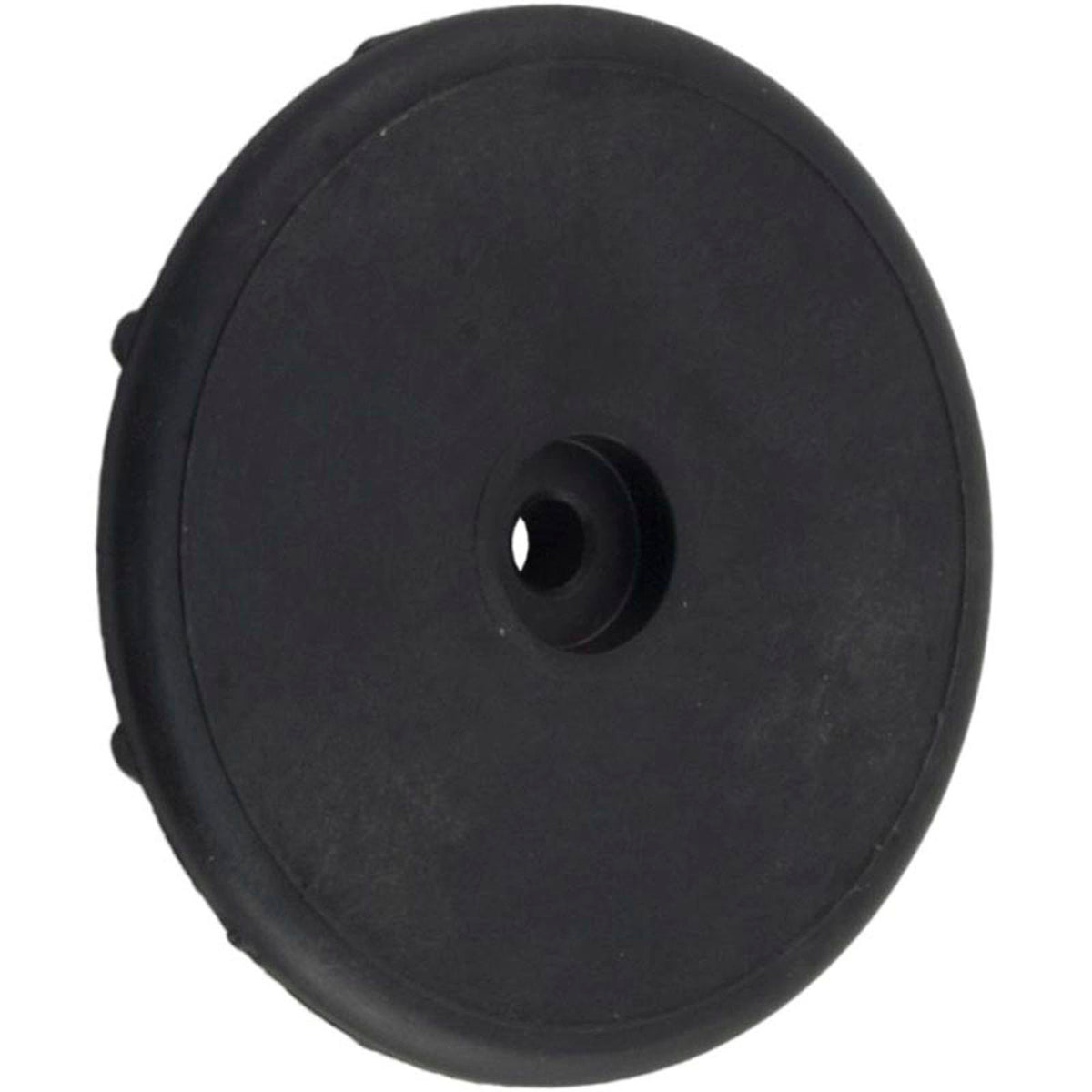Control Panel Cover Retainer Cap, Pentair Max-E-Therm
