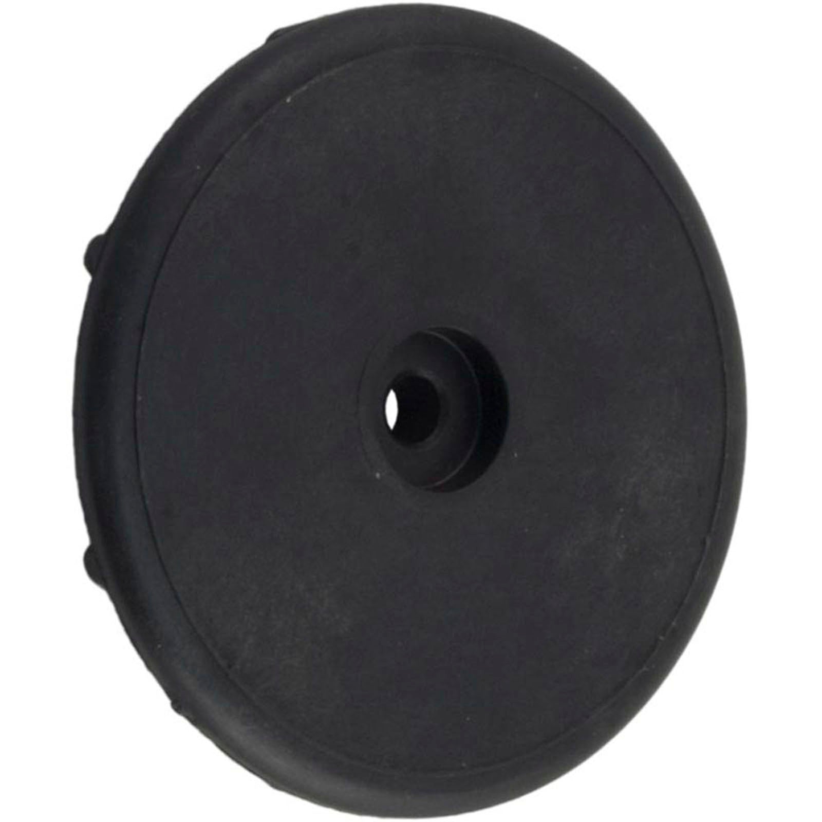 Control Panel Cover Retainer Cap, Pentair Max-E-Therm