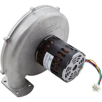 Blower Kit, Pentair MasterTemp 250, Nat.