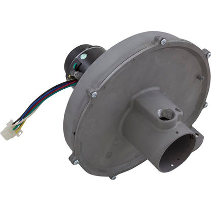 Blower Kit, Pentair MasterTemp 300, Nat.