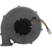 Blower Kit, Pentair MasterTemp 300, Nat.