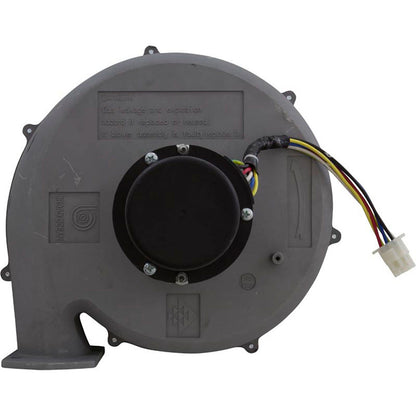 Blower Kit, Pentair MasterTemp 300, Nat.