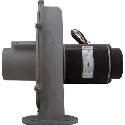 Blower Kit, Pentair MasterTemp 300, Nat.
