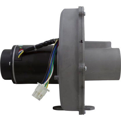 Blower Kit, Pentair MasterTemp 300, Nat.