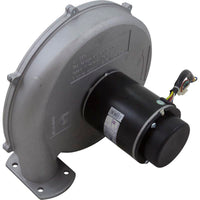 Blower Kit, Pentair MasterTemp 175/200/Max-E-Therm 200, Nat.
