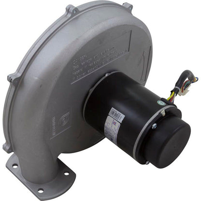 Blower Kit, Pentair MasterTemp 175/200/Max-E-Therm 200, Nat.