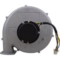 Blower Kit, Pentair MasterTemp 175/200/Max-E-Therm 200, Nat.