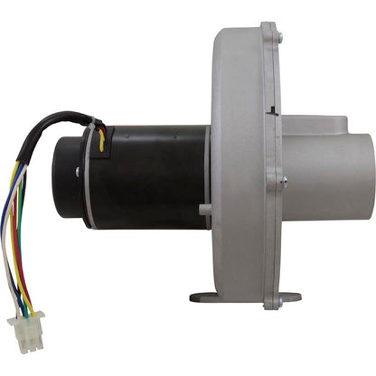 Blower Kit, Pentair MasterTemp 175/200/Max-E-Therm 200, Nat.