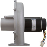 Blower Kit, Pentair MasterTemp 175/200/Max-E-Therm 200, Nat.