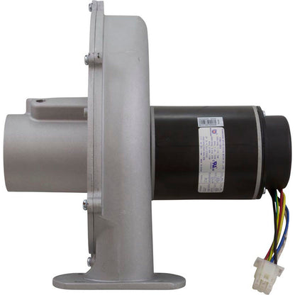 Blower Kit, Pentair MasterTemp 175/200/Max-E-Therm 200, Nat.