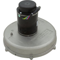 Blower Kit, Pentair MasterTemp 400/Max-E-Therm 400, Nat.