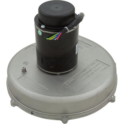 Blower Kit, Pentair MasterTemp 400/Max-E-Therm 400, Nat.