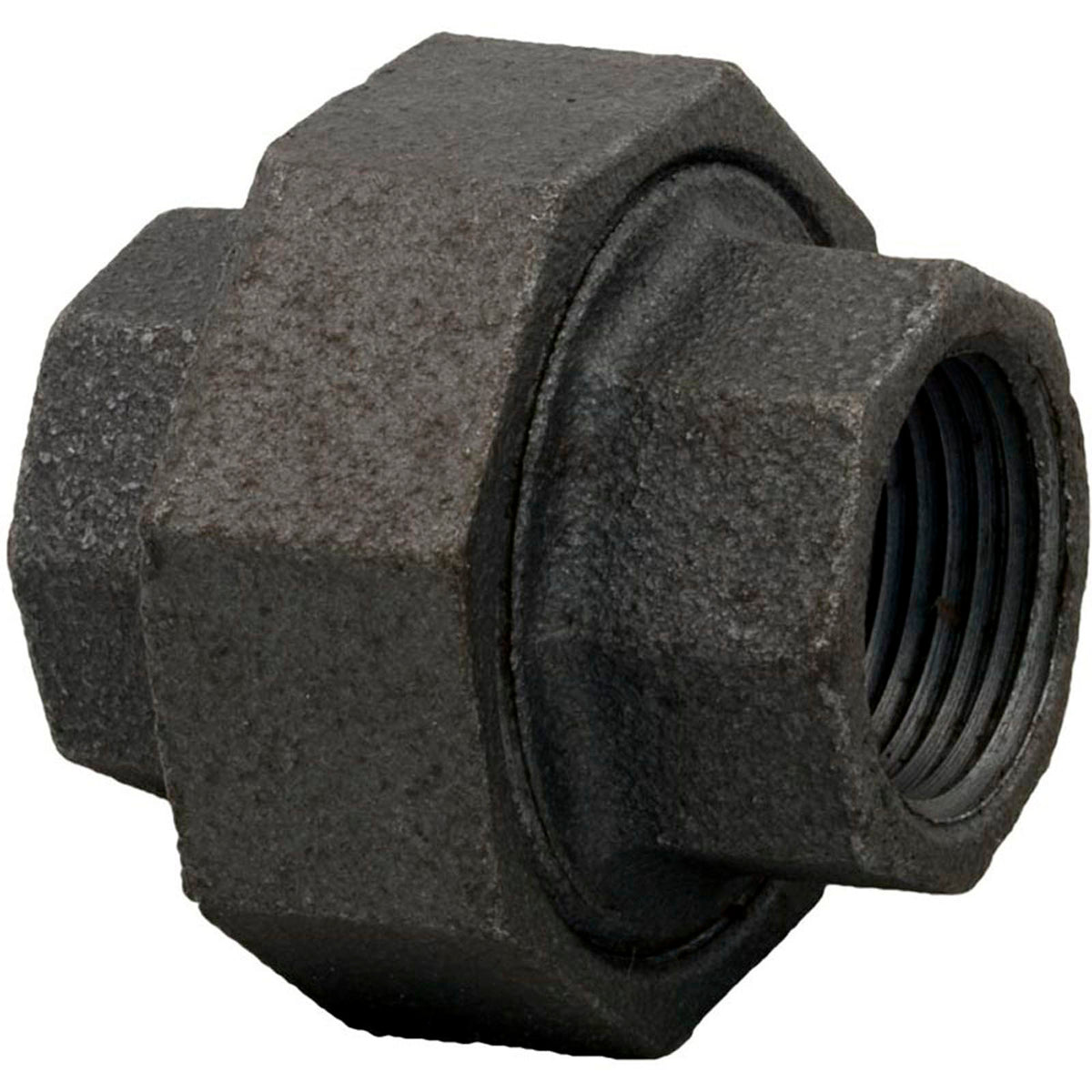 Union, Pentair Sta-Rite, 3/4" Female Pipe Thread
