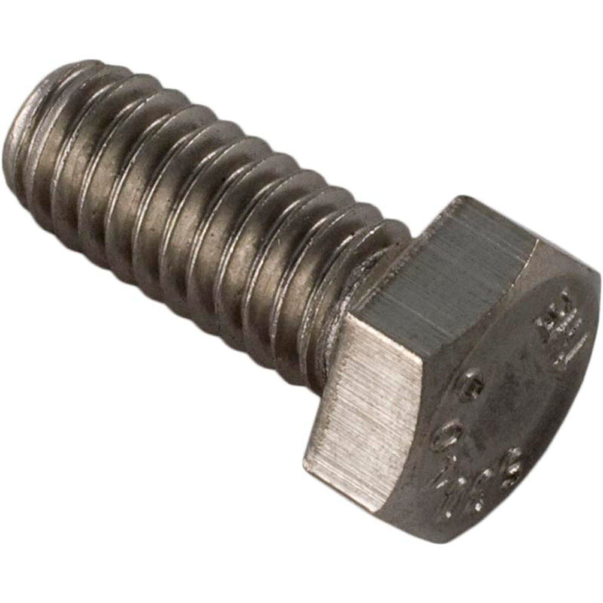 Bolt, Pentair Minimax/Minimax Plus/PowerMax, 18-5/16" x 3/4"