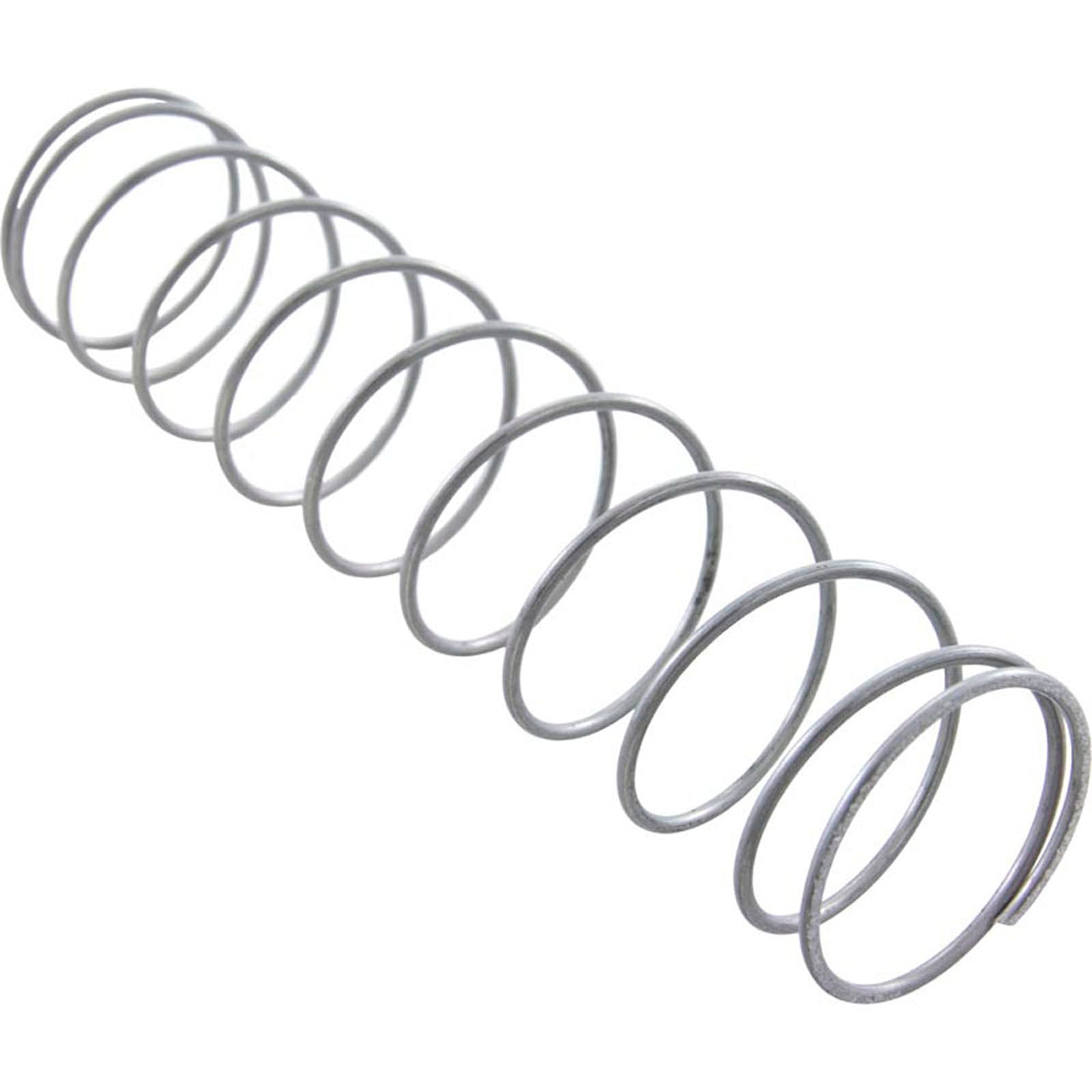 Flow Valve Spring, Pentair Minimax 100