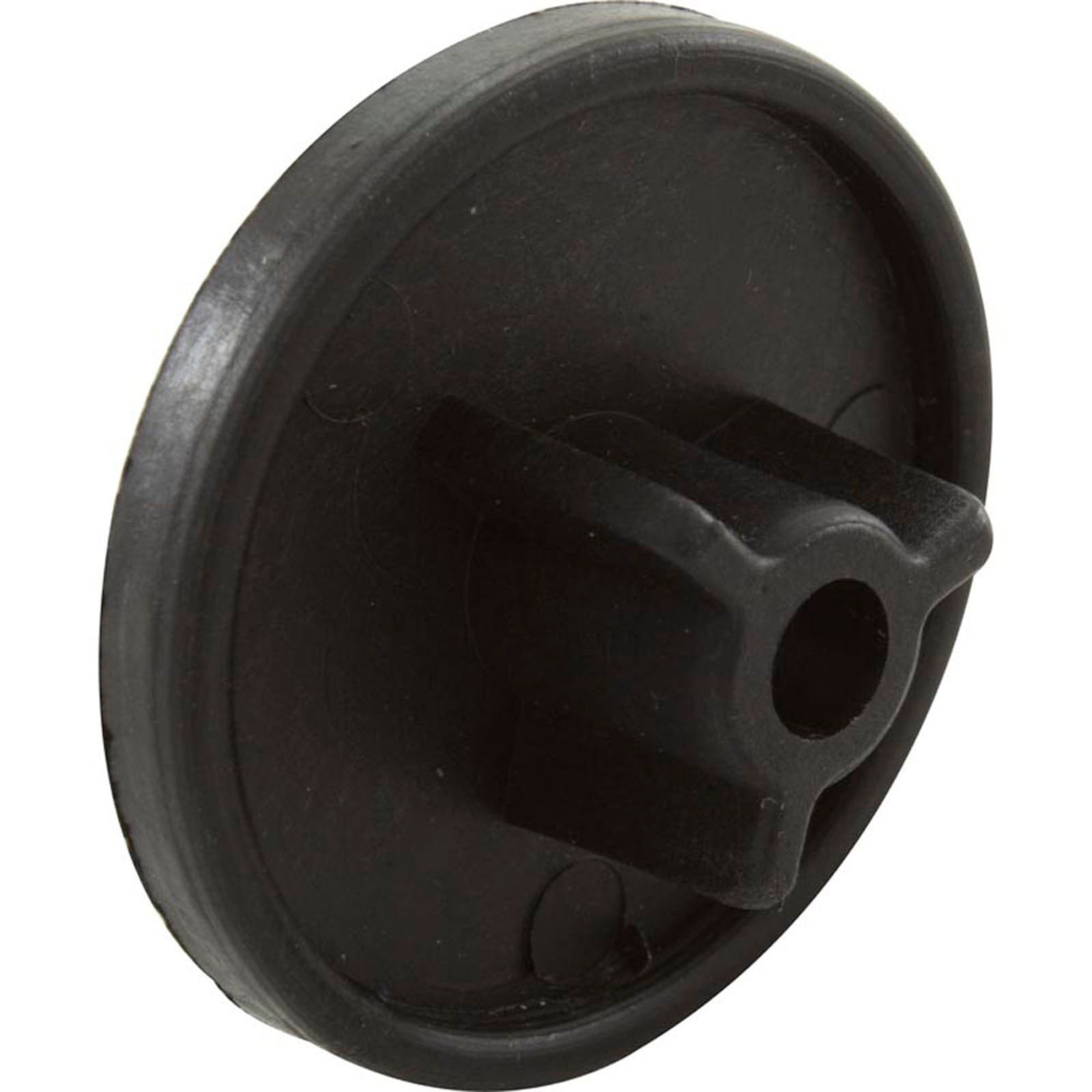 Flow Valve Plunger, Pentair Minimax 100