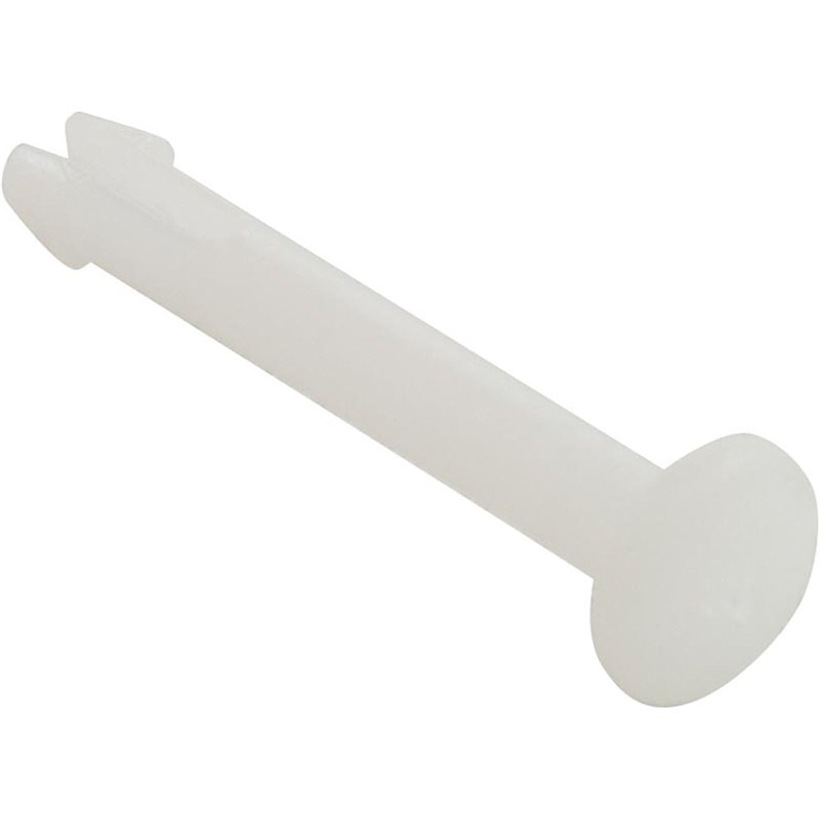 Control Cover Hinge, Pentair Minimax NT