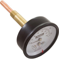 Temperature and Pressure Gauge, Raypak Heaters, 1/2", Bottom