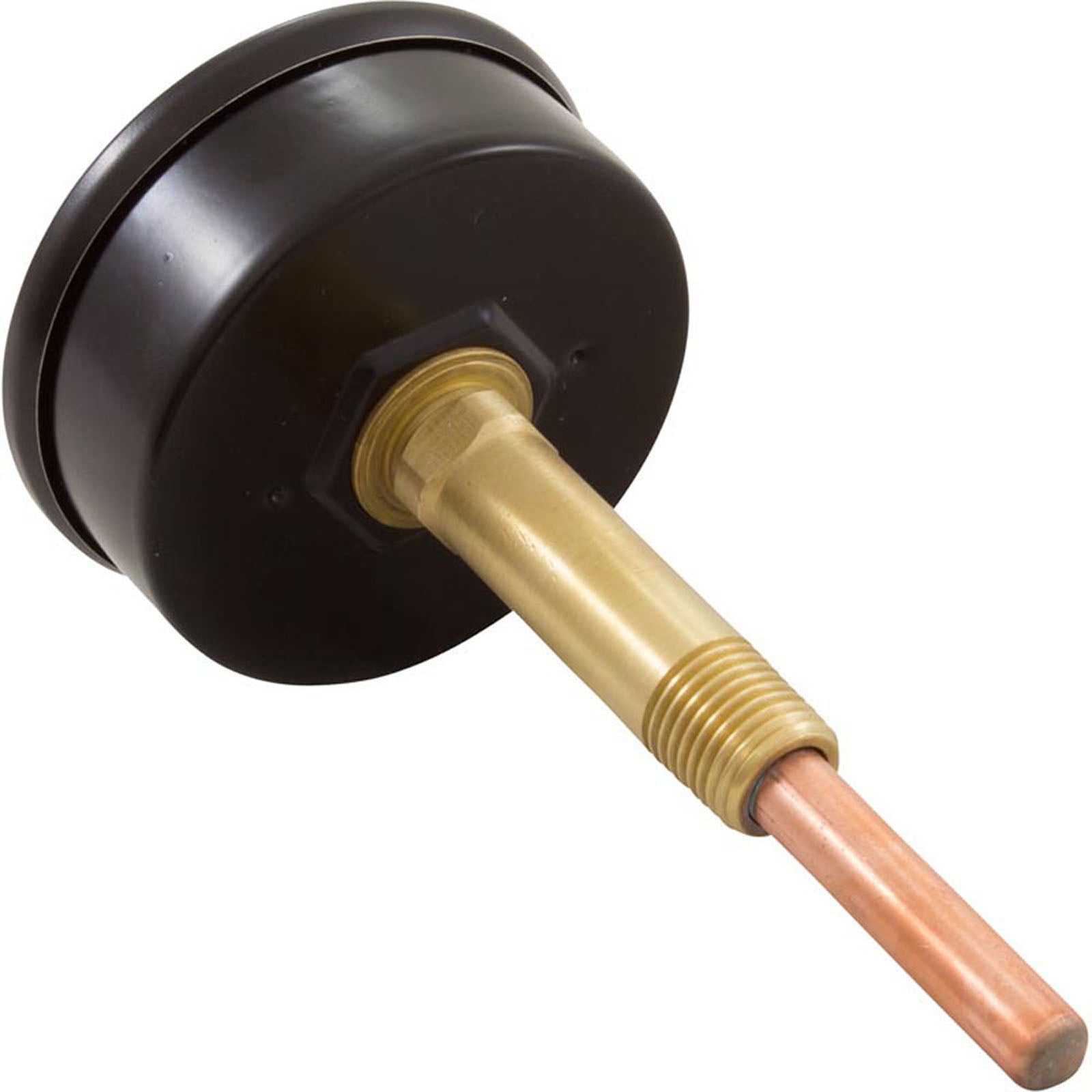 Temperature and Pressure Gauge, Raypak Heaters, 1/2", Bottom