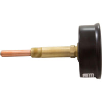 Temperature and Pressure Gauge, Raypak Heaters, 1/2", Bottom
