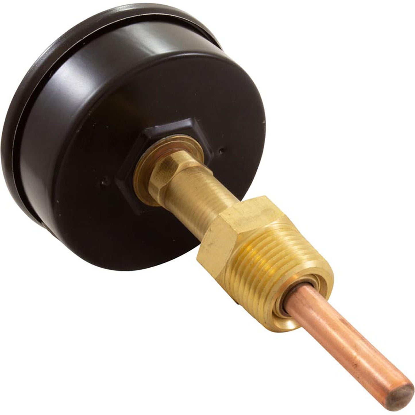 Temperature & Pressure Gauge Kit, Raypak Hydronic Heaters