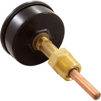 Temperature & Pressure Gauge Kit, Raypak Hydronic Heaters