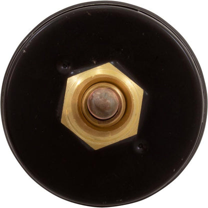 Temperature & Pressure Gauge Kit, Raypak Hydronic Heaters