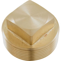Unitherm Governor Plug, Raypak 206A/266A/336A/406A