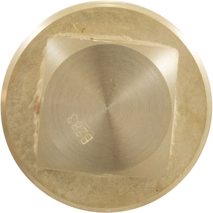 Unitherm Governor Plug, Raypak 206A/266A/336A/406A