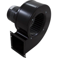 Souffleur d'air de combustion, modèle Raypak 989-2339, côté droit