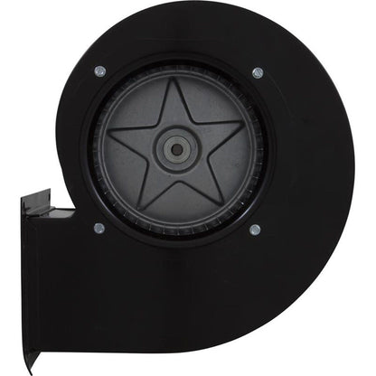 Combustion Air Blower, Raypak Model 989-2339, Right Hand