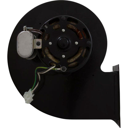 Combustion Air Blower, Raypak Model 989-2339, Right Hand