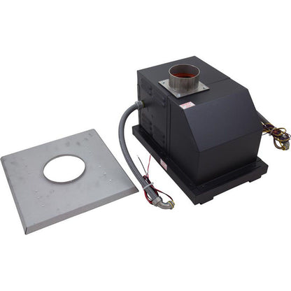 D-2 Indoor Power Vent, Raypak 206-267, 115/230v