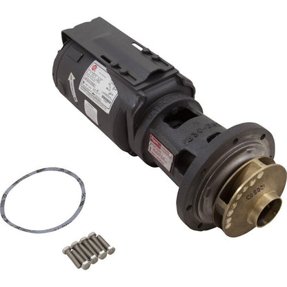 Integral Header Pump, Raypak, Hi Delta, 4.7 Impeller