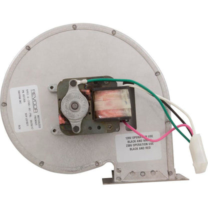 Blower, Raypak R185A/R185B