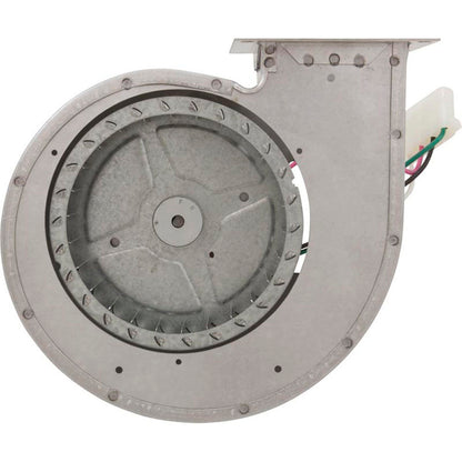 Blower, Raypak R185A/R185B