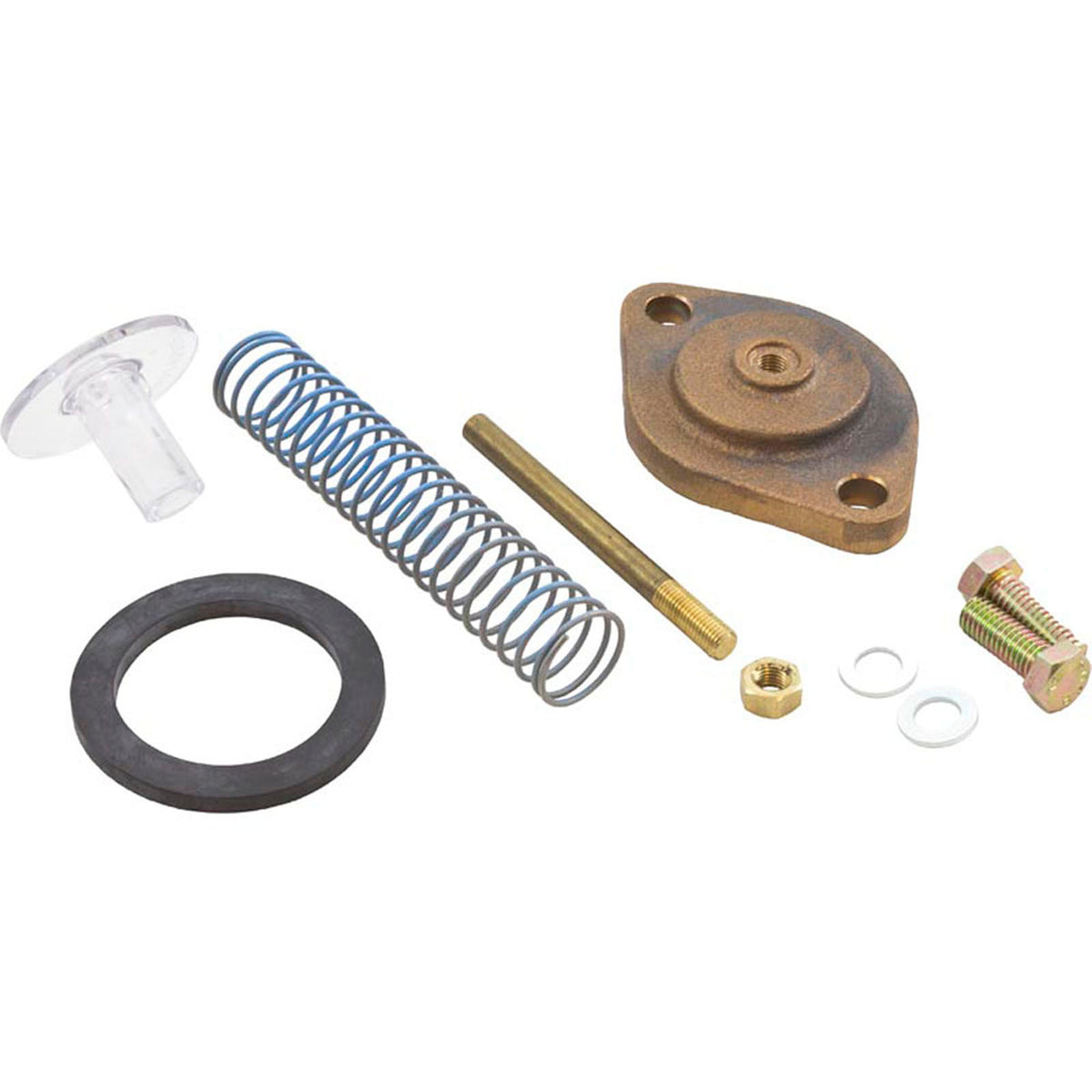 Bypass Assembly, Zodiac Jandy LRZE/LRZM 400
