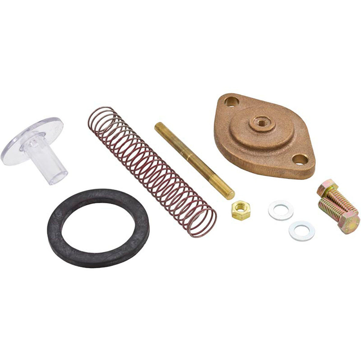 Bypass Assembly, Zodiac Jandy LXi, with Hardware, Bronze